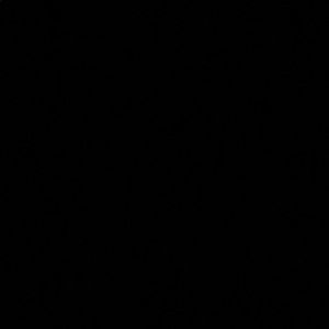 Meet your Posher, Leonard